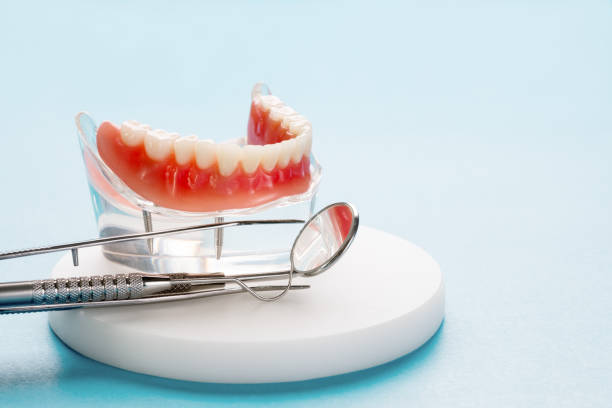 Professional  Holistic Dental Services in Ricardo, TX